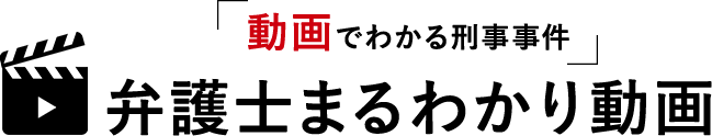 「動画でわかる刑事事件」弁護士まるわかり動画