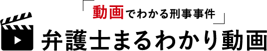 「動画でわかる刑事事件」弁護士まるわかり動画