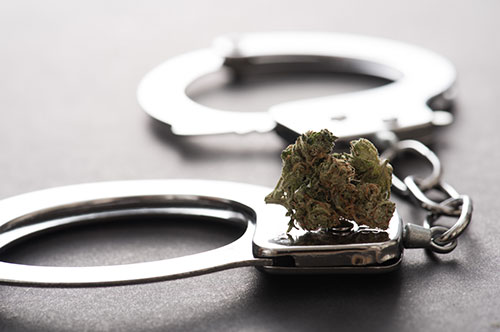 大麻で逮捕されるのはどんなとき？ 処罰や逮捕後の流れとは？